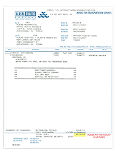 Alaska Traffic - Invoice Sample